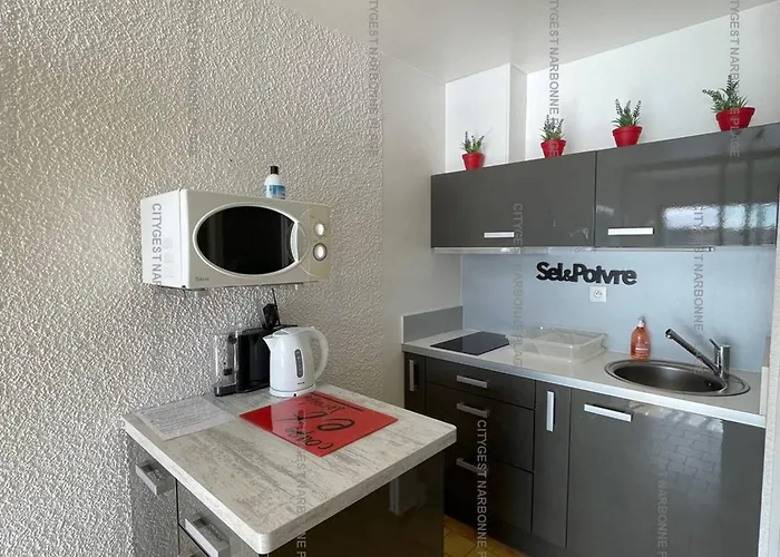 4 Pers Avec Clim Et Parking, Port - Fr-1-619-136 Apartment Gruissan